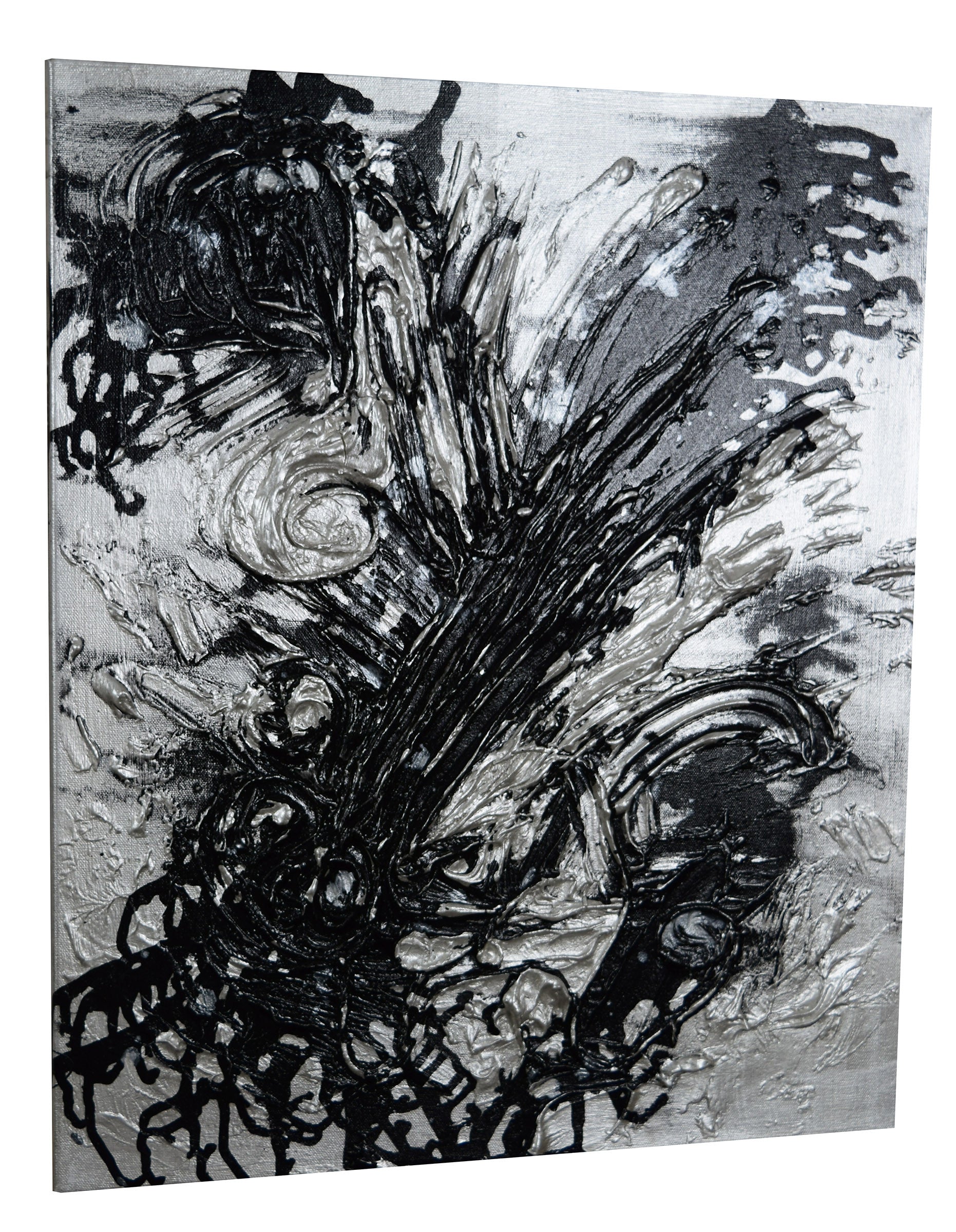 SMHD 65/11 "why so frizzy" - SMHDGalleries