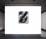 SMHD 65/11 "why so frizzy" - SMHDGalleries