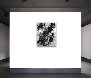 SMHD 65/11 "why so frizzy" - SMHDGalleries
